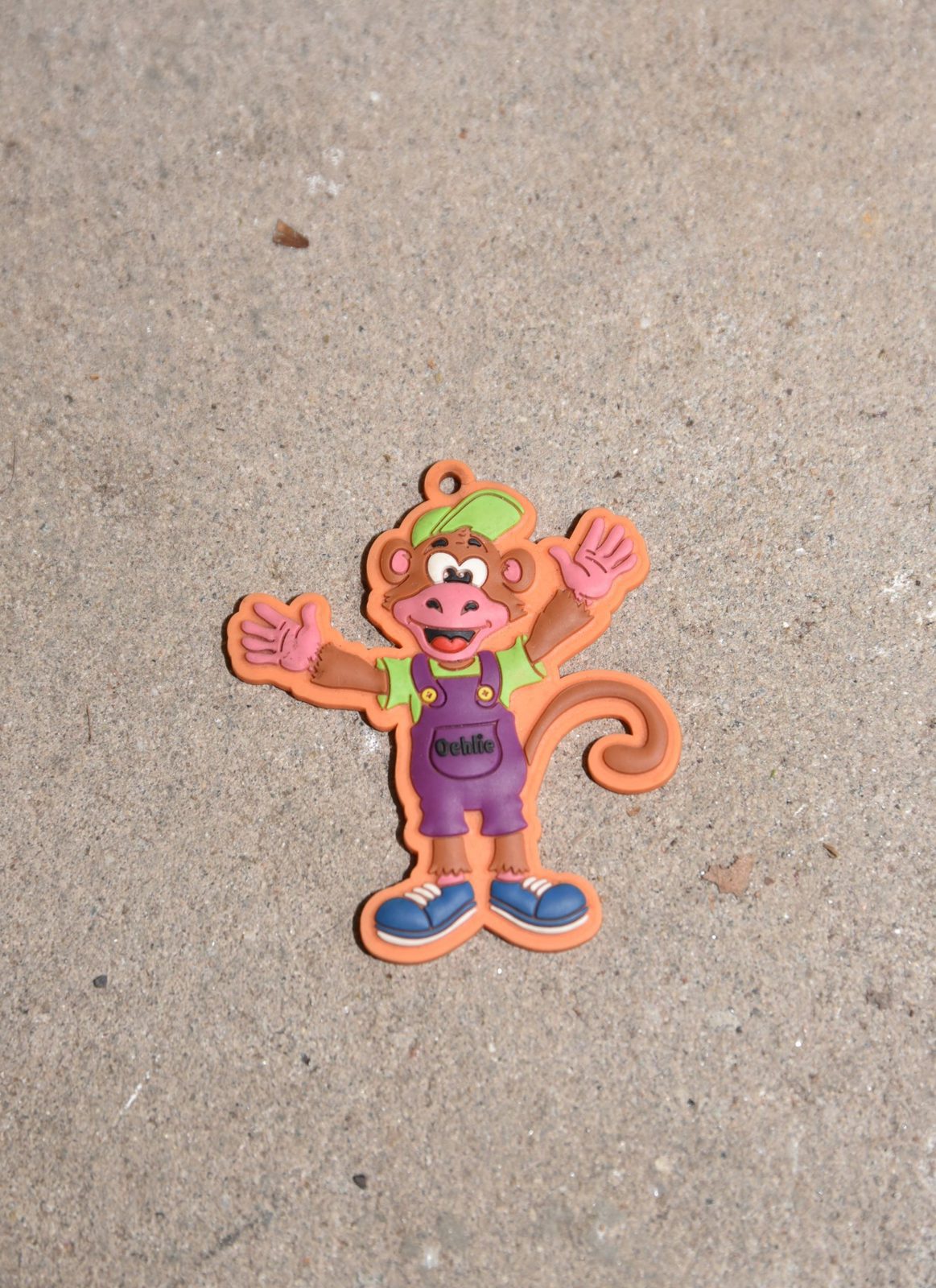 rotterdam postcard collection